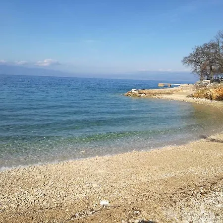 Holiday